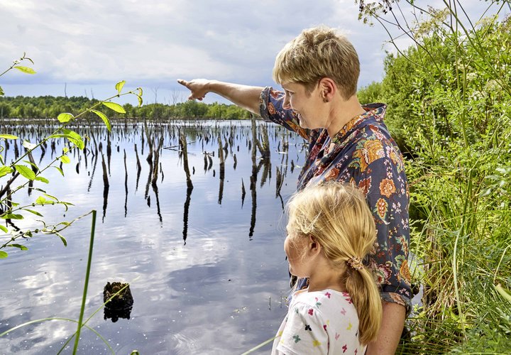Zwei Personen schauen auf einen Waldsee