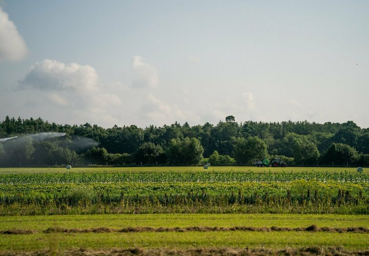 Traktor bestellt ein Feld
